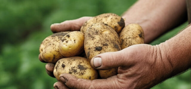 Biox-M helps in a challenging storage season