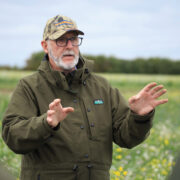 Best way to desiccate cover crop on wet soil