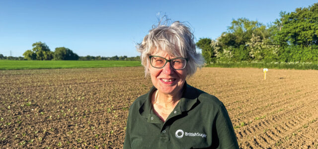 Care required for best weed control options