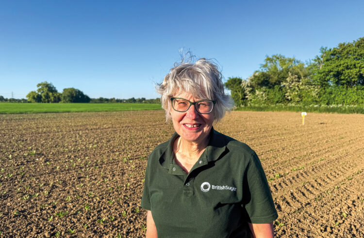 Care required for best weed control options