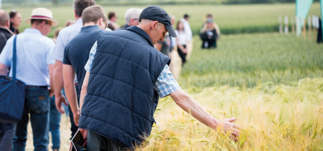 Trial plots at Arable Event are ‘real world’ examples