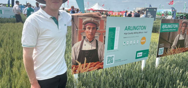 New milling wheat and oilseed rape at Cereals 2025