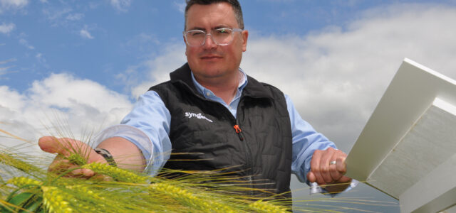 High-yield hybrid barley launched