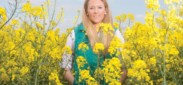 Clearfield rape ‘perfect’ for following HEAR varieties