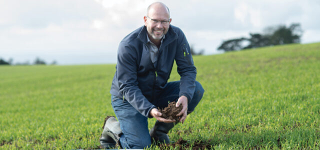 How water traps can help control flea beetle