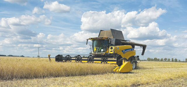 UK cereal harvest ‘variable at best’
