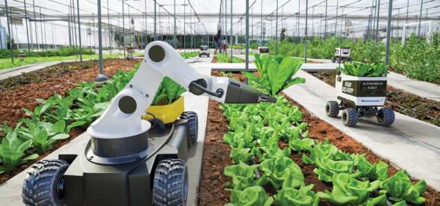 What next for British farmers?