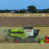 Huge yield variation in UK wheat harvest