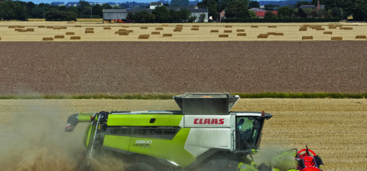 Huge yield variation in UK wheat harvest