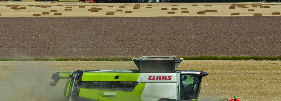 Huge yield variation in UK wheat harvest