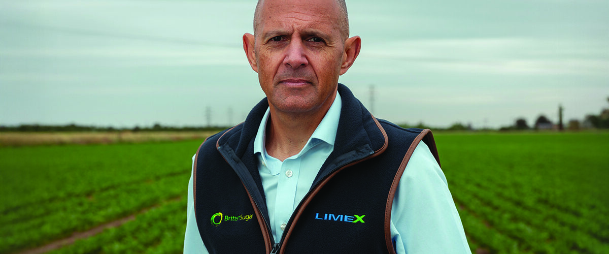 ‘Options available for profitable sugar beet’