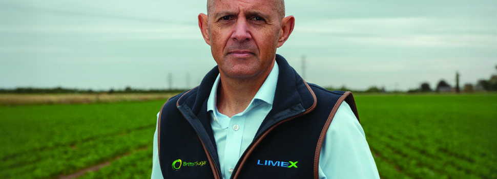 ‘Options available for profitable sugar beet’