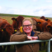 Water concerns limit UK food production