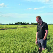 ‘Liquid carbon’  helps to rebuild soil health