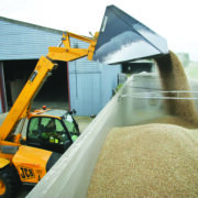 Growers sell wheat forward amid market uncertainty