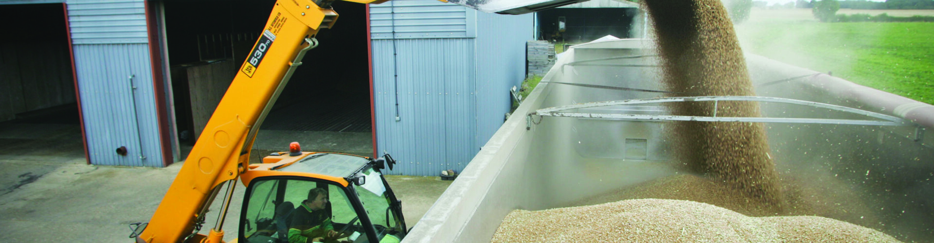 Growers sell wheat forward amid market uncertainty