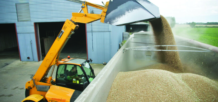 Growers sell wheat forward amid market uncertainty