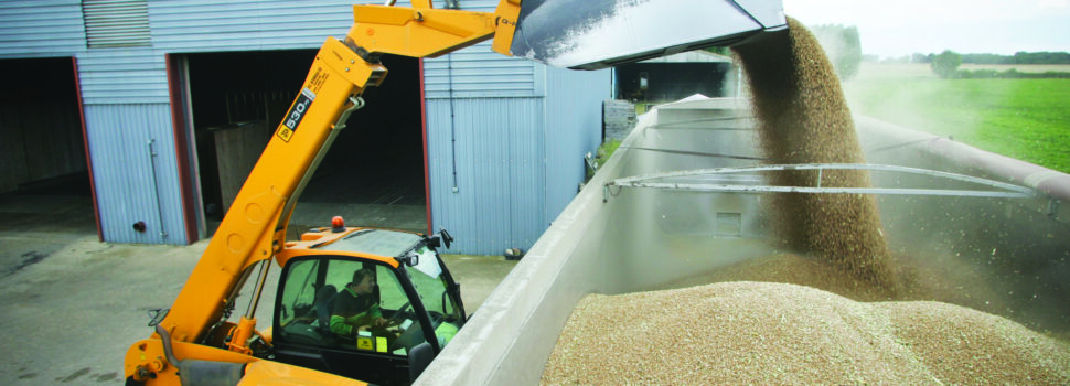 Growers sell wheat forward amid market uncertainty