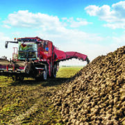 Just-in-time approach urged for sugar beet