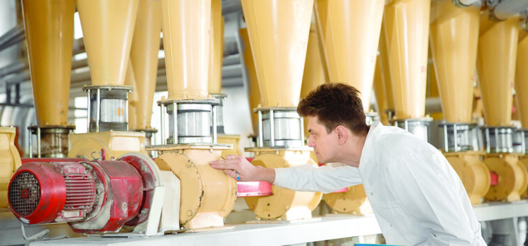 New project to assess UK wheat variety blends