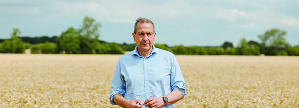 New SFI scheme ‘in first six months of 2026’