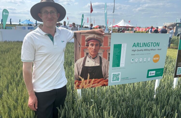 DSV showcases breeding strength with new provisional Group 1 winter wheat and top spot OSR added to AHDB 2026/27 RL