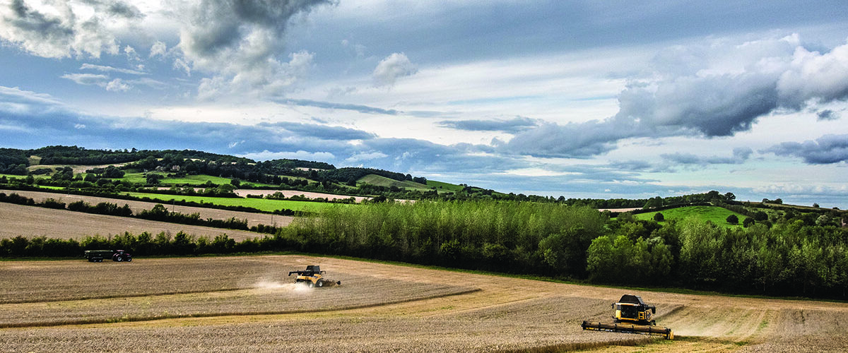 Heritage grains and healthy soils
