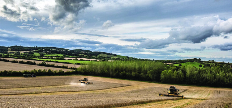 Heritage grains and healthy soils