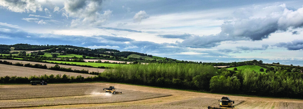 Heritage grains and healthy soils