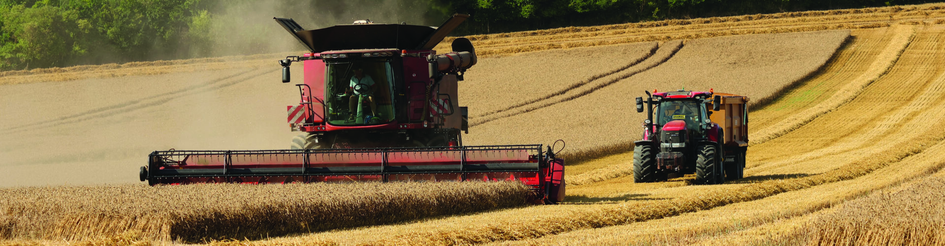 Mixed fortunes forecast for farming throughout 2026