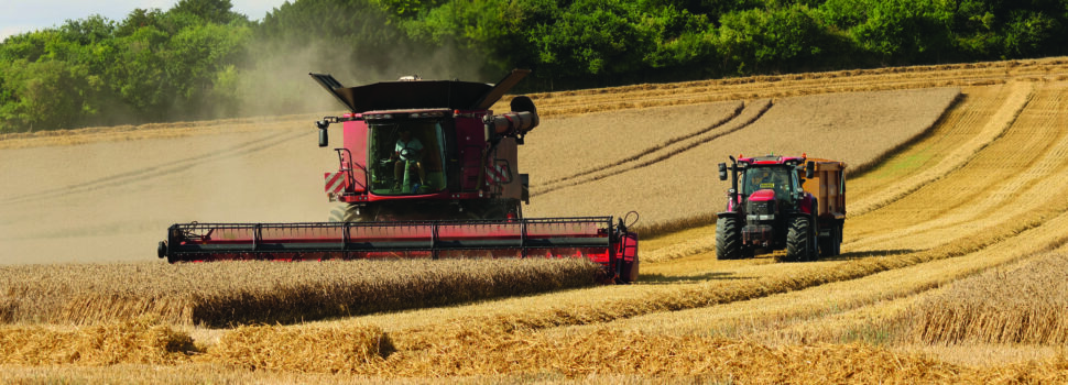 Mixed fortunes forecast for farming throughout 2026