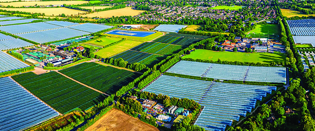 Seize opportunity to forge own destiny