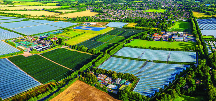 Seize opportunity to forge own destiny