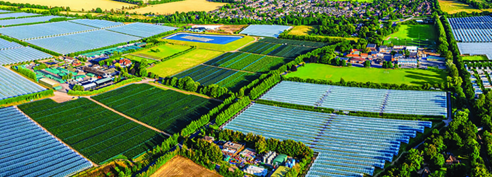 Seize opportunity to forge own destiny