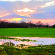 Make sure you’re prepared for the year ahead