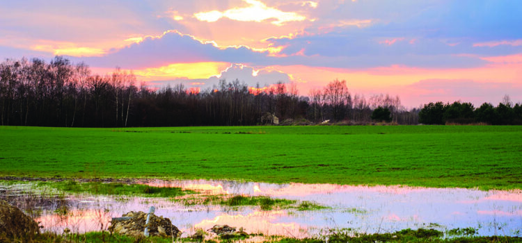 Make sure you’re prepared for the year ahead