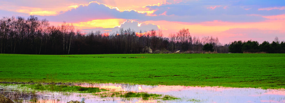 Make sure you’re prepared for the year ahead