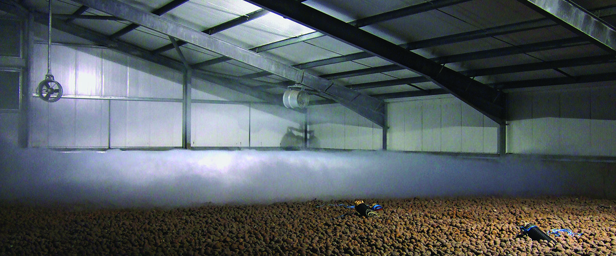 Support needed to secure potato storage capacity