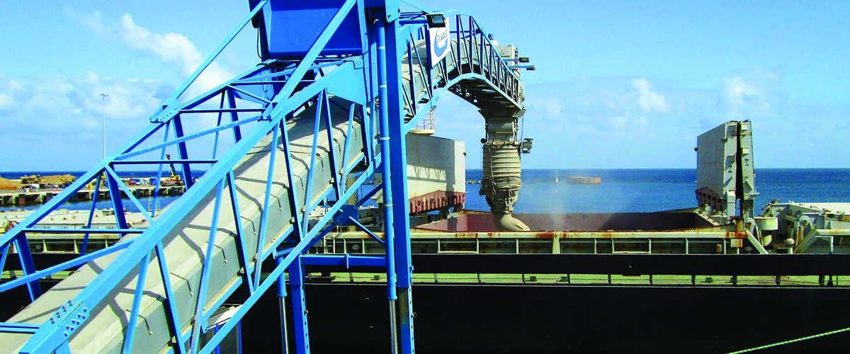 Subdued market weighs heavily on grain prices