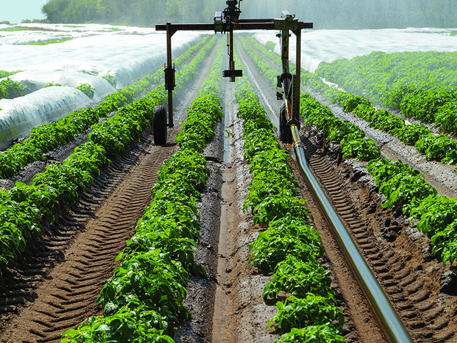 How will you respond to drought in 2026?