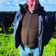 Free calculator highlights most valuable cattle