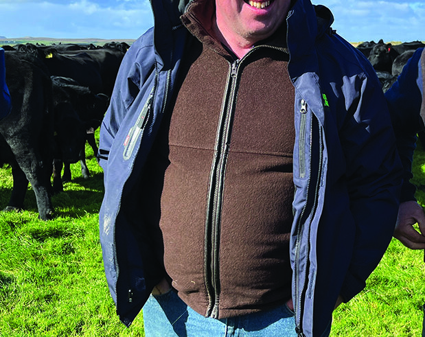 Free calculator highlights most valuable cattle