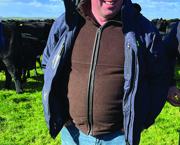 Free calculator highlights most valuable cattle