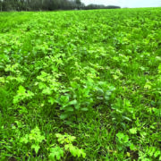 Revolution, restoration, resilience