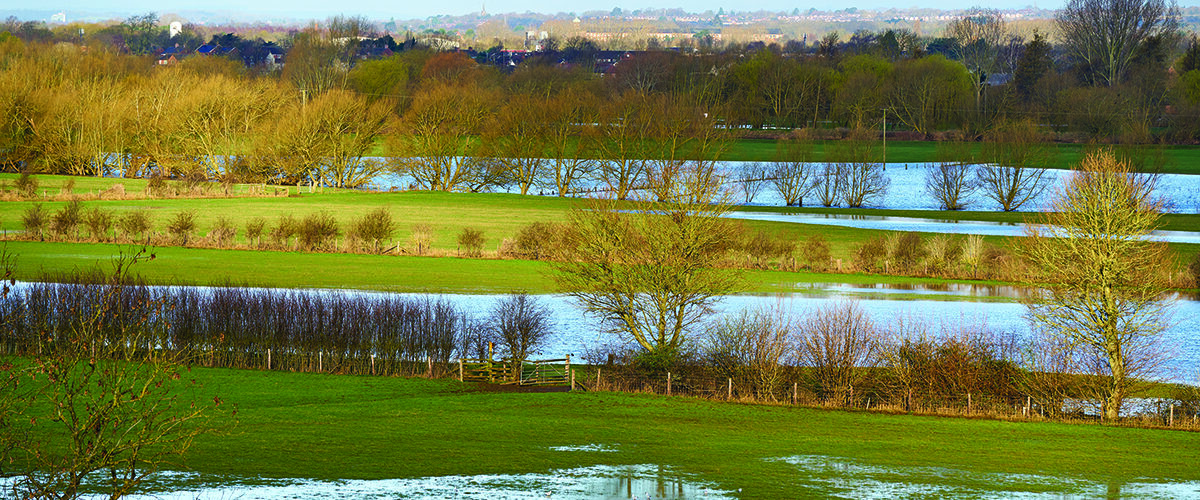 Wet winter eases drought fears
