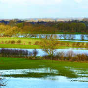 Wet winter eases drought fears
