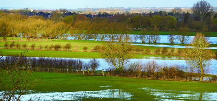Wet winter eases drought fears