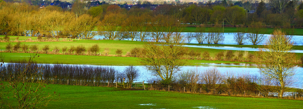 Wet winter eases drought fears