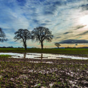 Take action to restore saturated soils