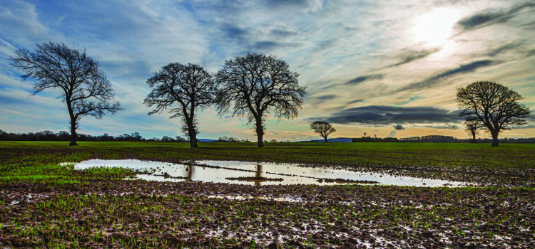 Take action to restore saturated soils
